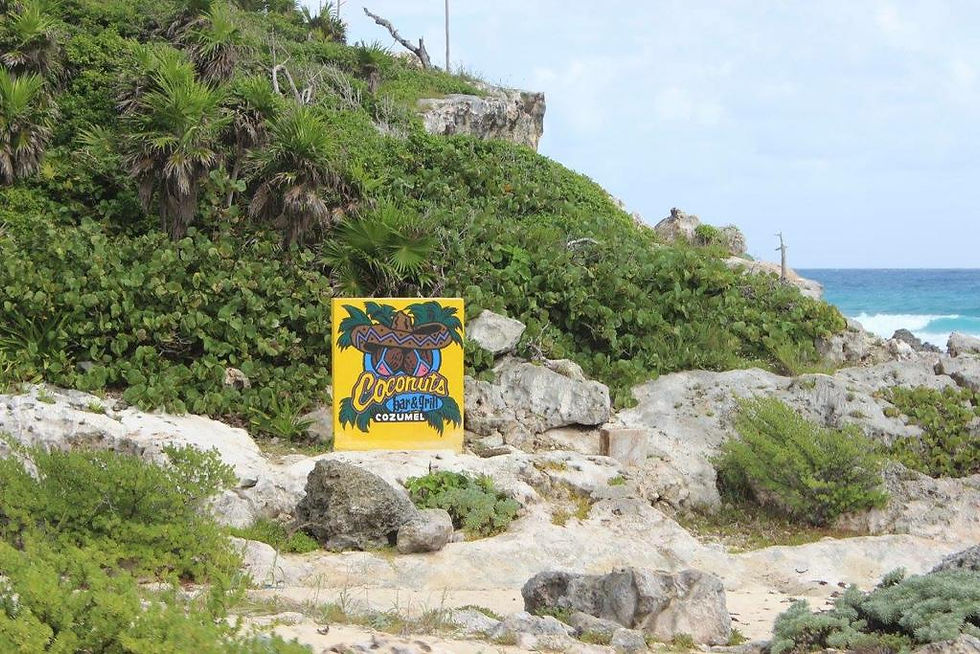 Cozumel Scooter Tours