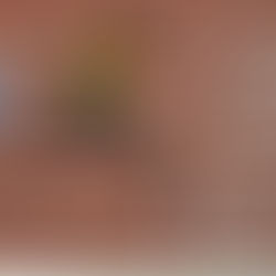 El límite solo existe en tu mente