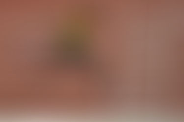 El límite solo existe en tu mente