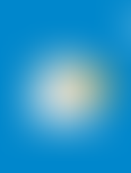 Newsletter - Février 2026