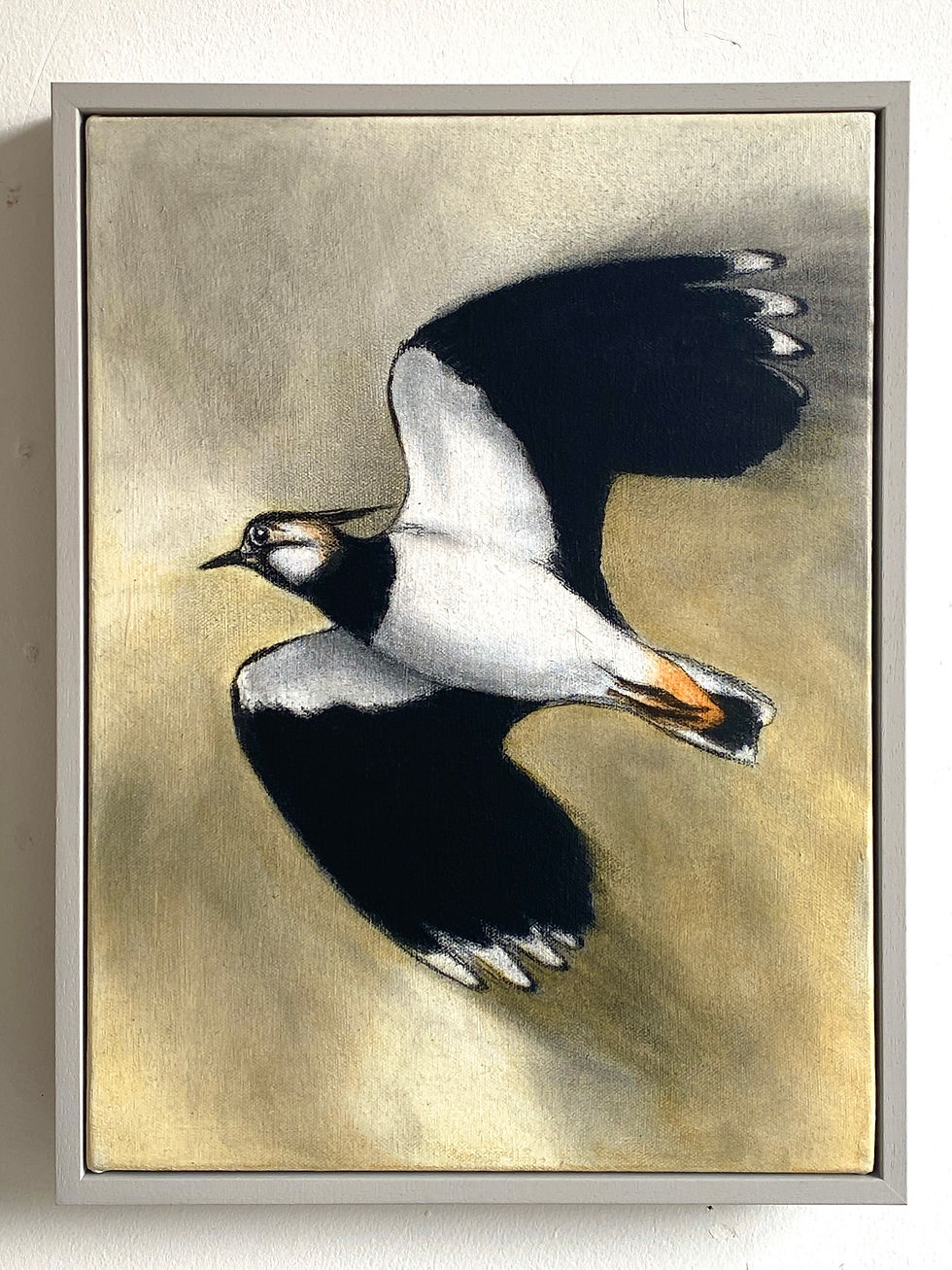 A painting of a Lapwing bird mainly black and white flying in a golden yellow and grey sky.