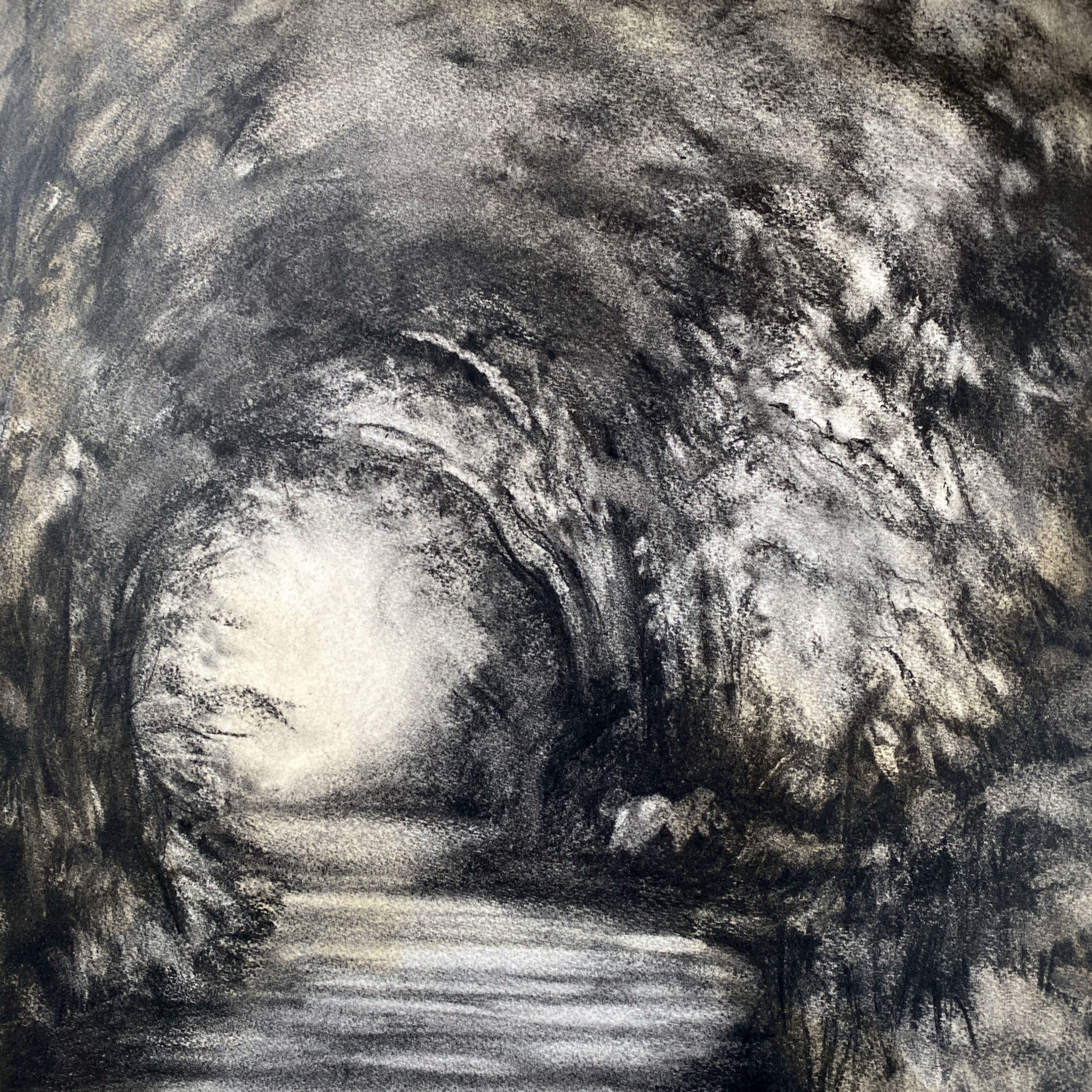 Entangled Light - giclée print