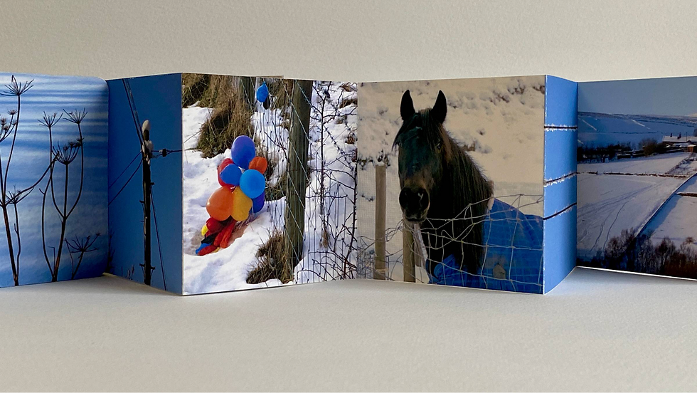 Concertina Photo book with a blue and white colour theme featuring snow in landscape with a horse and colourful balloons.
