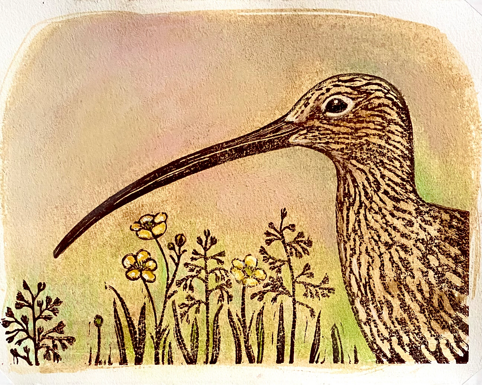 A woodcut print of a curlew brown dappled head and shoulders with meadow flowers on a yellowish pink background.