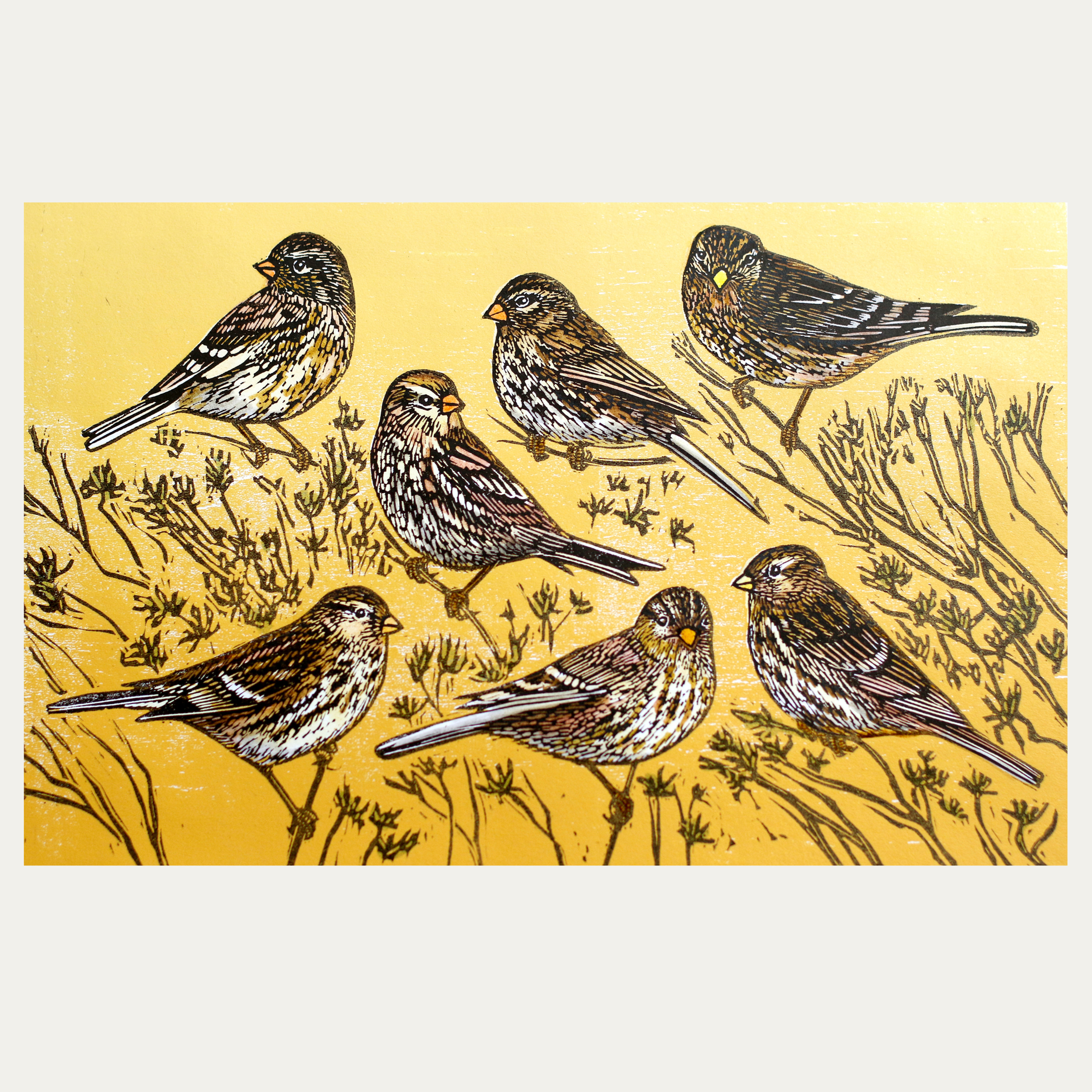 Relief print of a flock of South Pennine Twite birds feeding on seed heads. Yellow background.