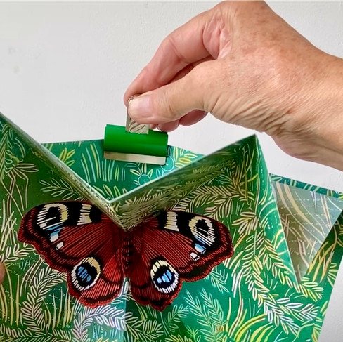 A human hand positioning a green bulldog clip on the spine of a booklet of a butterfly.