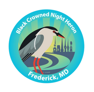 Black Crowned Night Heron with city skyline.
