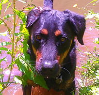 IMAG0152.jpg