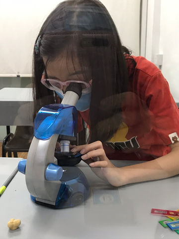 science tuition on topic fungi and bacteria