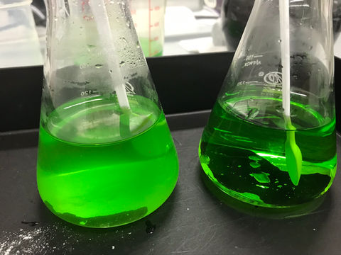 P4 science tuition on heat and temperature, 