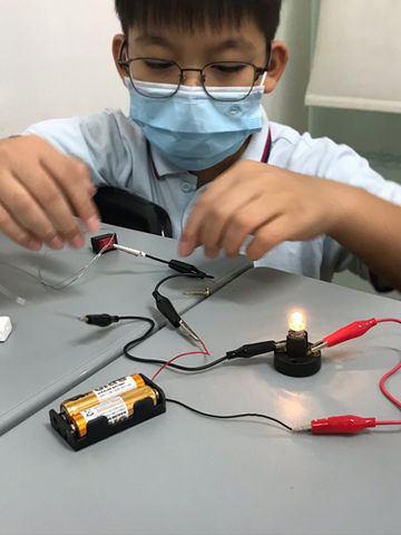 science tuition for P5 electrical system 
