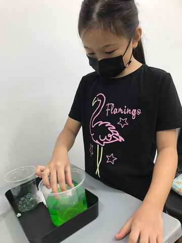 P4 science tuition