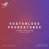 Flyer Kostenlose Poledance Probestunde