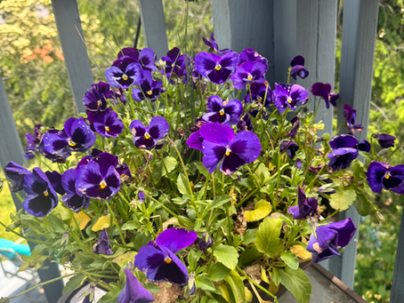 More Spaciousness: Deepening Self-Awareness and Healing