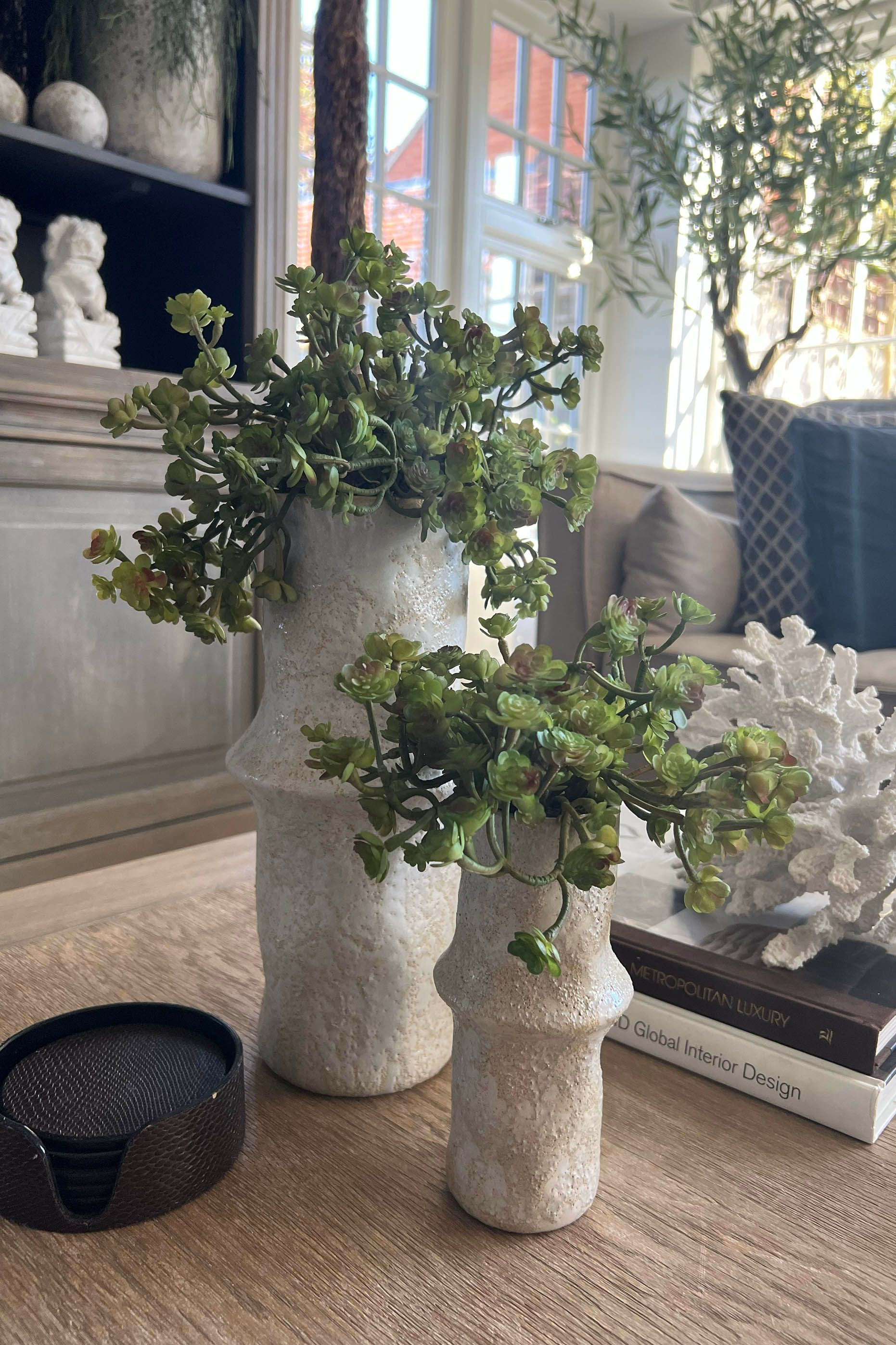 Baby Succulents in a Glazed Ceramic Vase