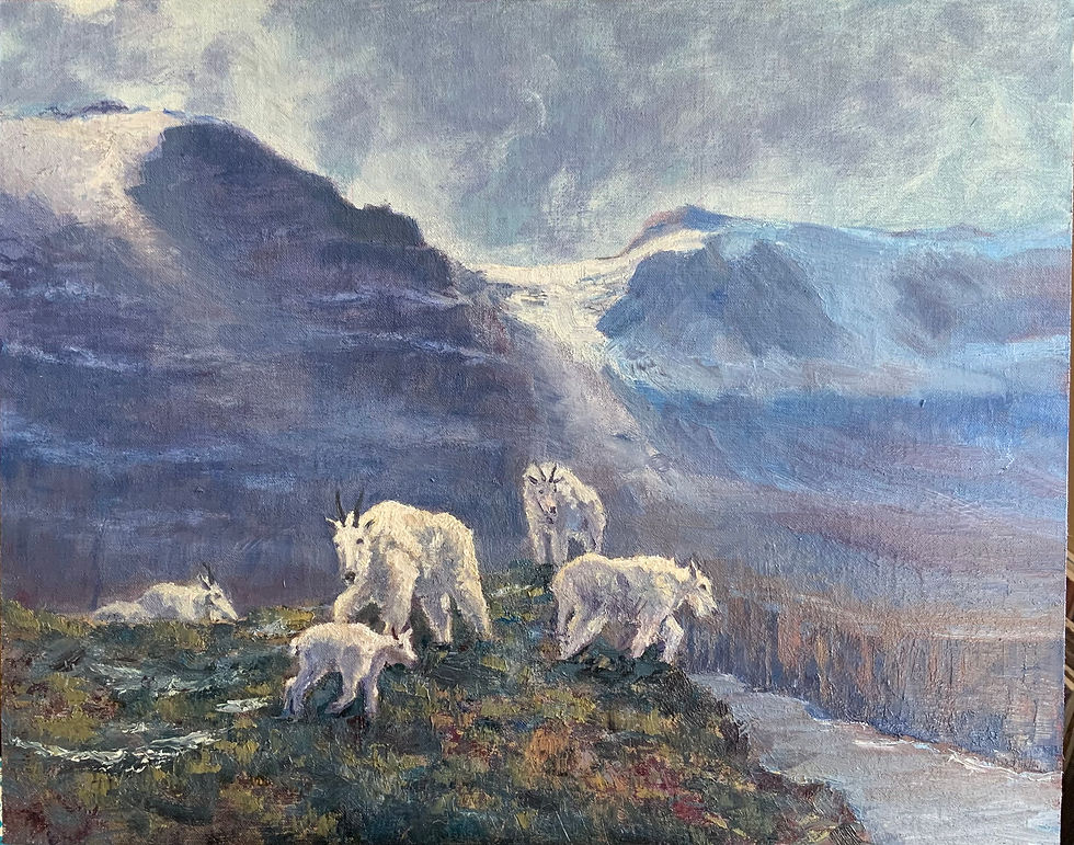 Sifting Snow Goats