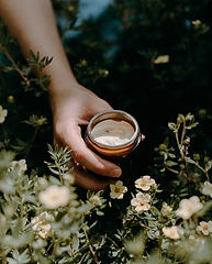 Crème visage tous types de peau - fleur d'oranger.jpeg