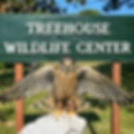 Treehouse Wildlife Center