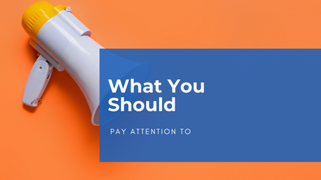 What You Should Pay Attention To