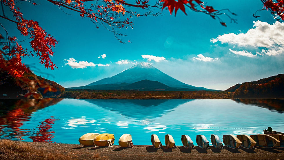 Blog Banner for Website Content (2).jpg