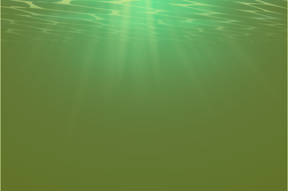 lima limon_2x.png