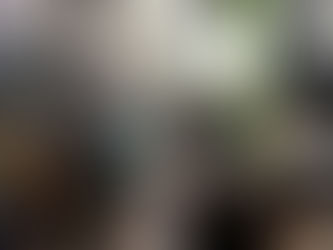 12月15日わかばの子供達🤗