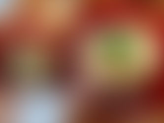 2月16日〜2月21日わかばの子ども達🤗