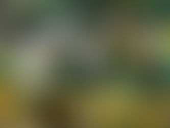 7月18日☀️夏バテしてます🤣