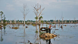 Un pêcheur à Angkor