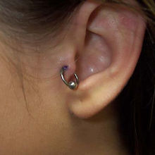 Left Tragus Piercing by Carla Hubbard.jpg