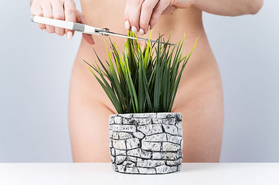 AdobeStock_429912554.jpeg