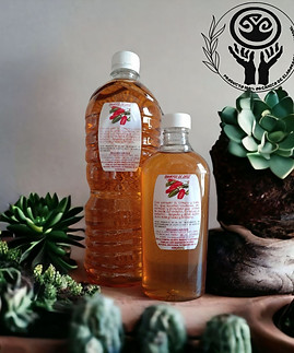 SHAMPOO DE CHILE.jpeg