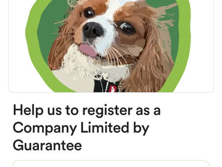 Help us register as a company limited by guarantee. 