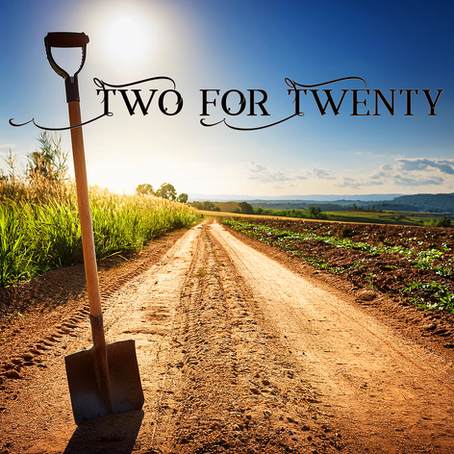 Two for Twenty Single cover