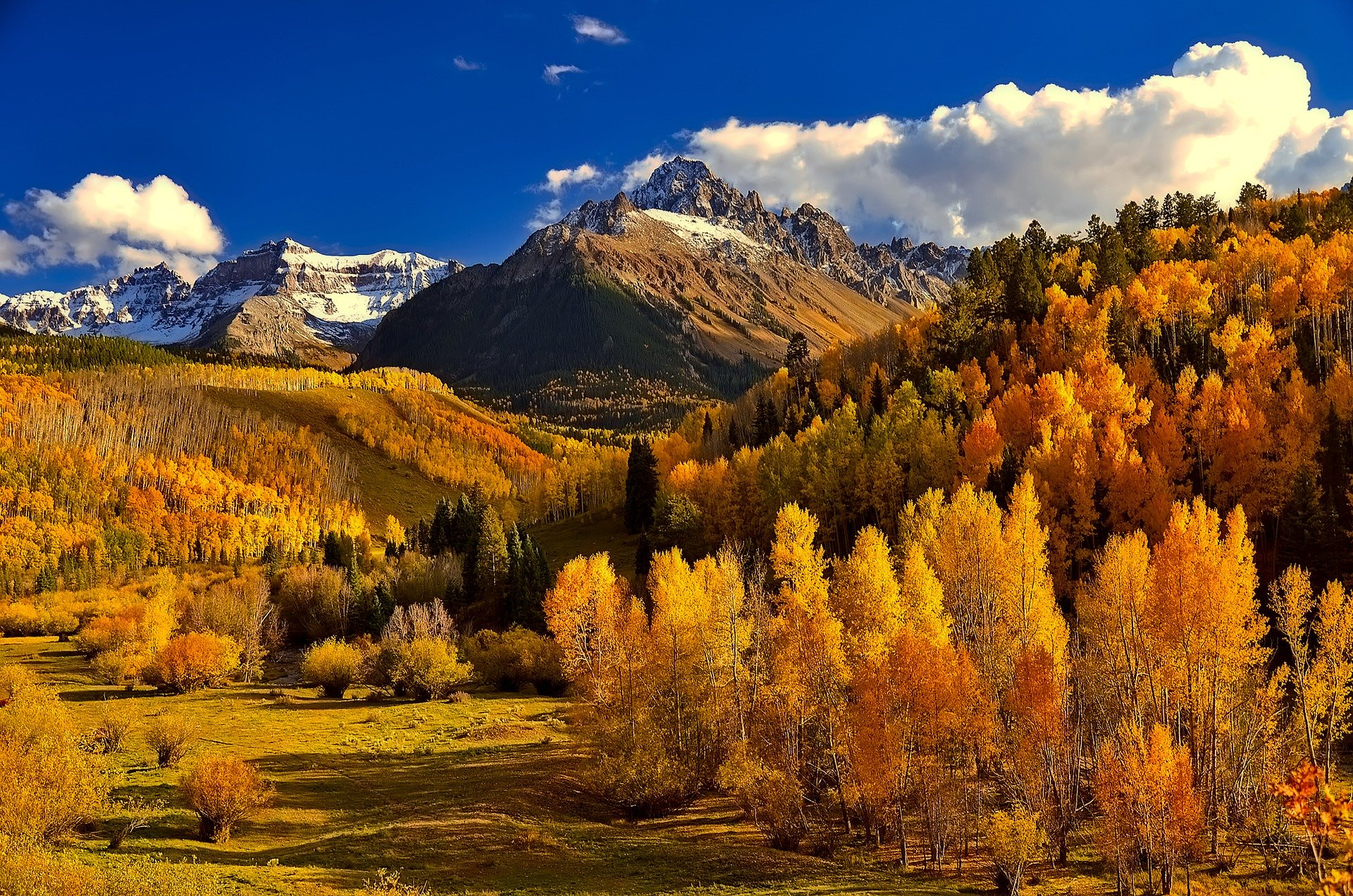 The Colorado Impact Fund photo