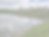 183182663_131141875725624_2519389488368759559_n_edited.png