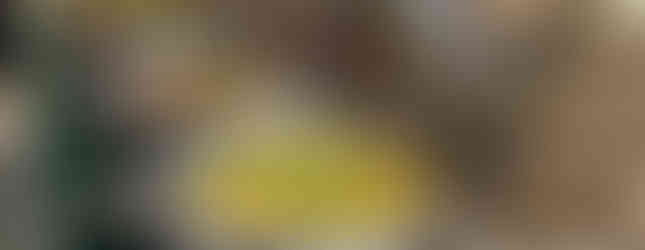 Santa Grand Signature KL Tawar Bufet Krismas Gaya Peranakan