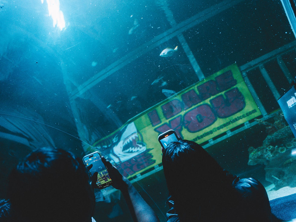 Ismail Izzani Curi Tumpuan Di Aquaria KLCC, Terjun Bersama Rage Cage Dalam ImanPiano Experience 2.0