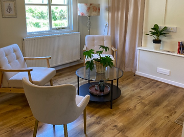 Facial aesthetics consultation area at Nurture & Renew in Leominster