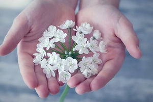 Quieting the mind to Open the Heart