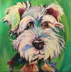 Custom Pet 11x14