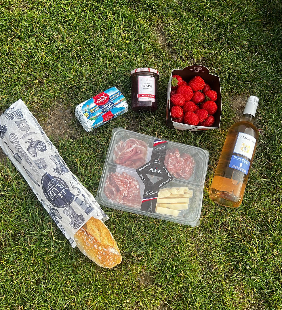 Picnic on lawn in front of the Eiffel Tower