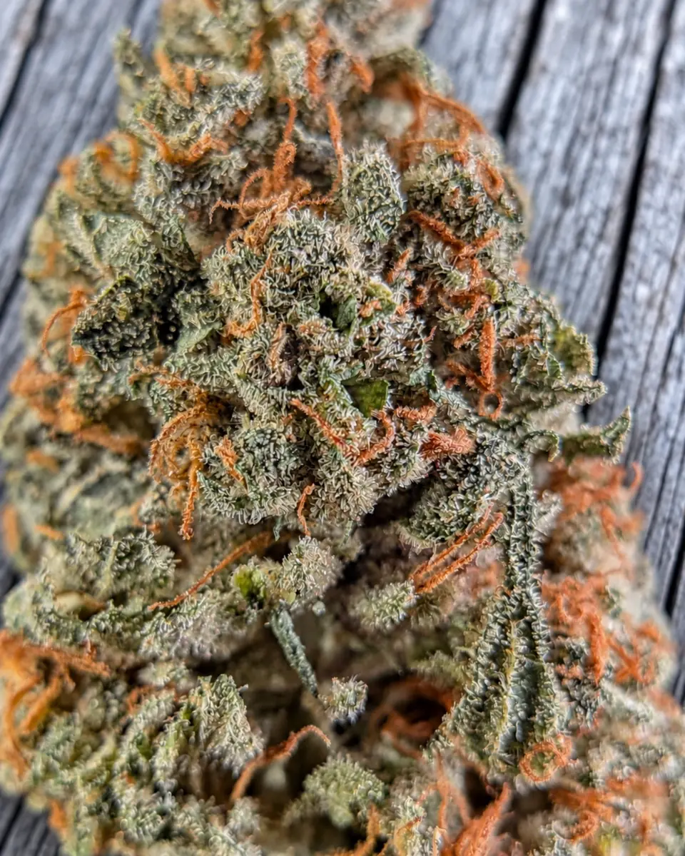 Fleur de CBD Occitane Queen Small Bud