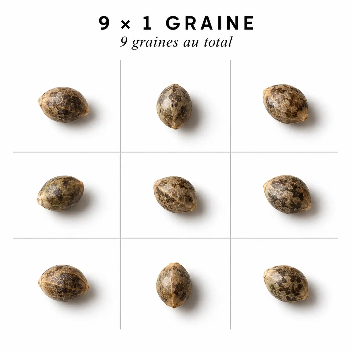 Pack découverte 9 X 1 graine