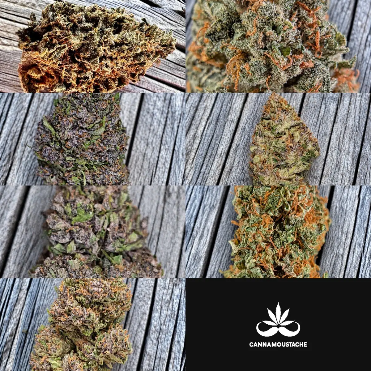 Pack Découverte Fleurs, 7 fleurs de CBD