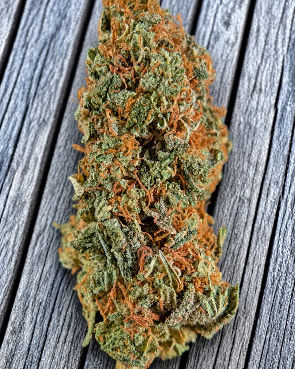 Fleur de CBD Hérault Kush