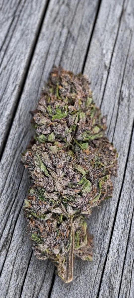 CBD Flower Pink Garlic CBG