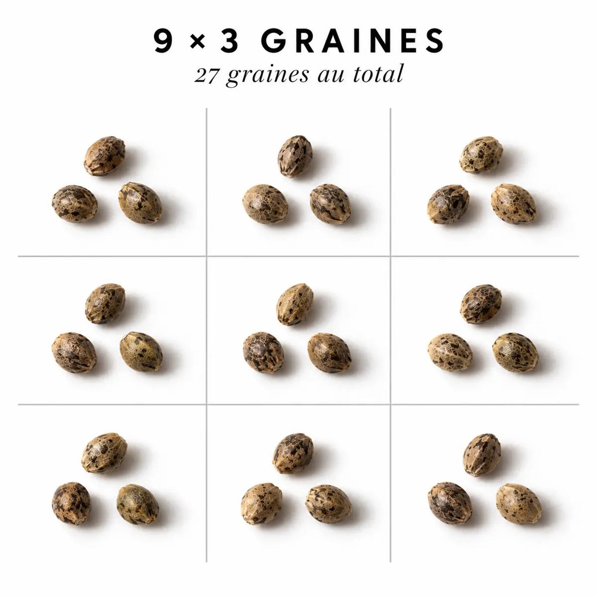 Pack amateur 9 X 3 graines