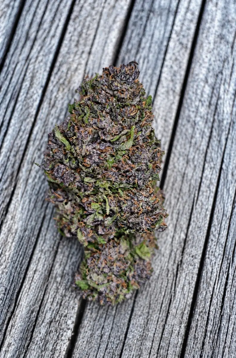 CBD Flower Chateau Izno