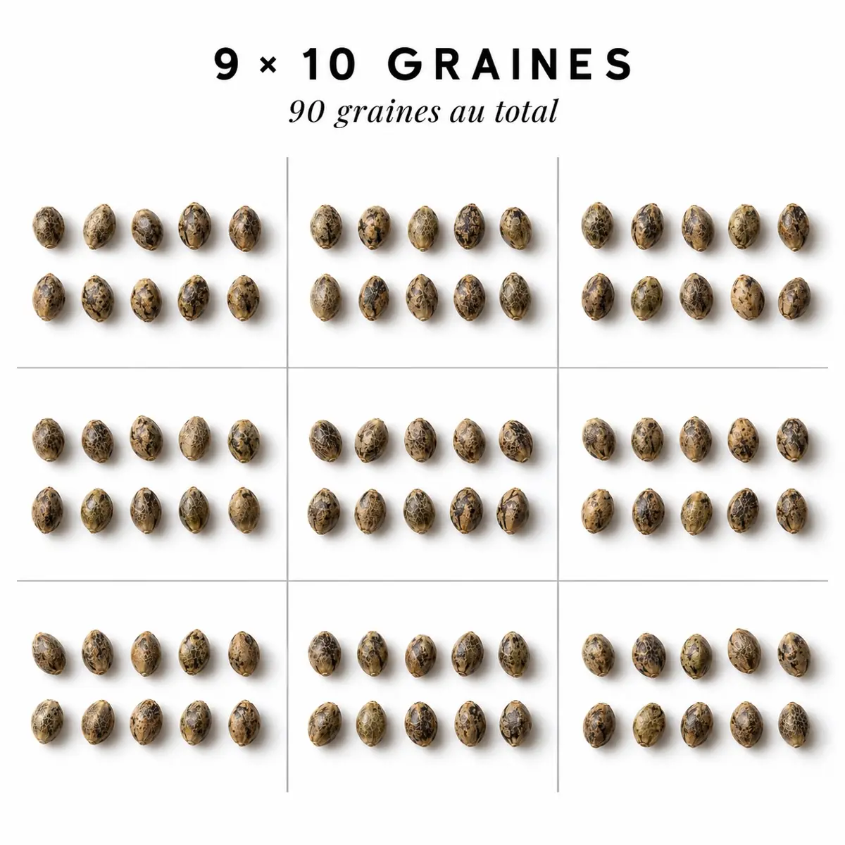 Pack conservation 9 X 10 graines